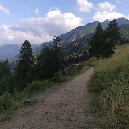 Germano - Regina Delle Alpi *